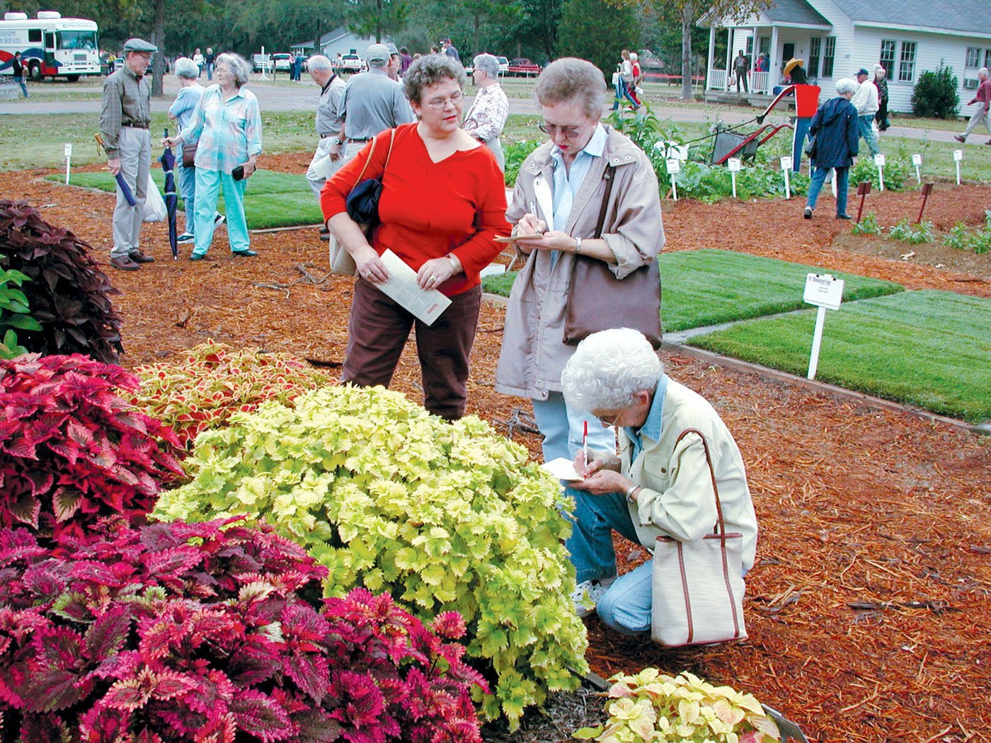 fall festival is biggest garden event in region | mississippi state