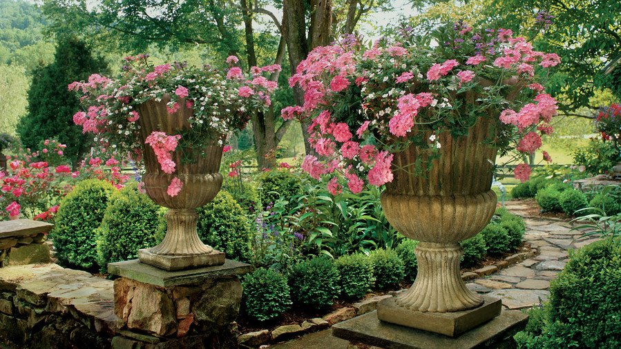 spectacular container gardening ideas - southern living