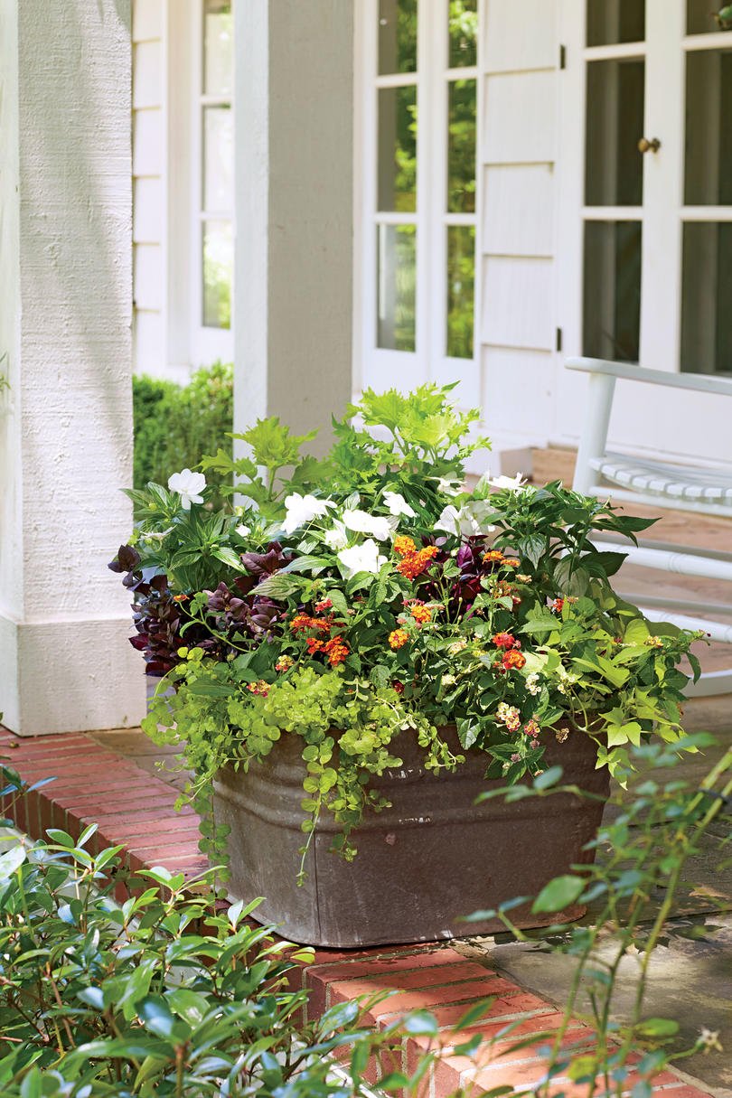 125 container gardening ideas