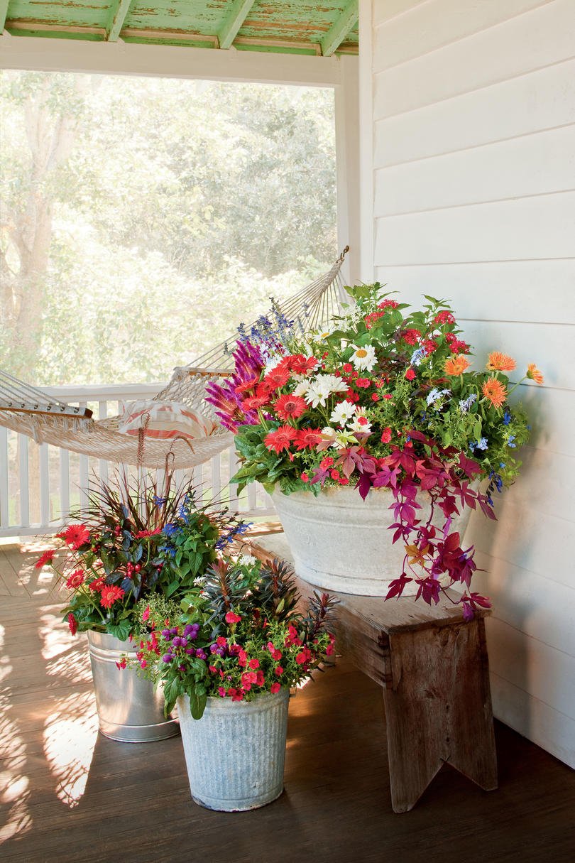 125 container gardening ideas