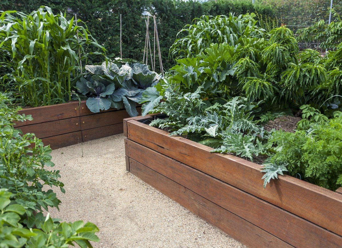 planning a raised bed? follow these 10 tips | bob vila - bob vila