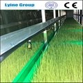 hydroponic barley grass sprout system barley grass growing ...