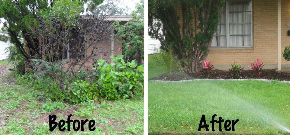 is your lawn a hot mess? — tailor-made budgets