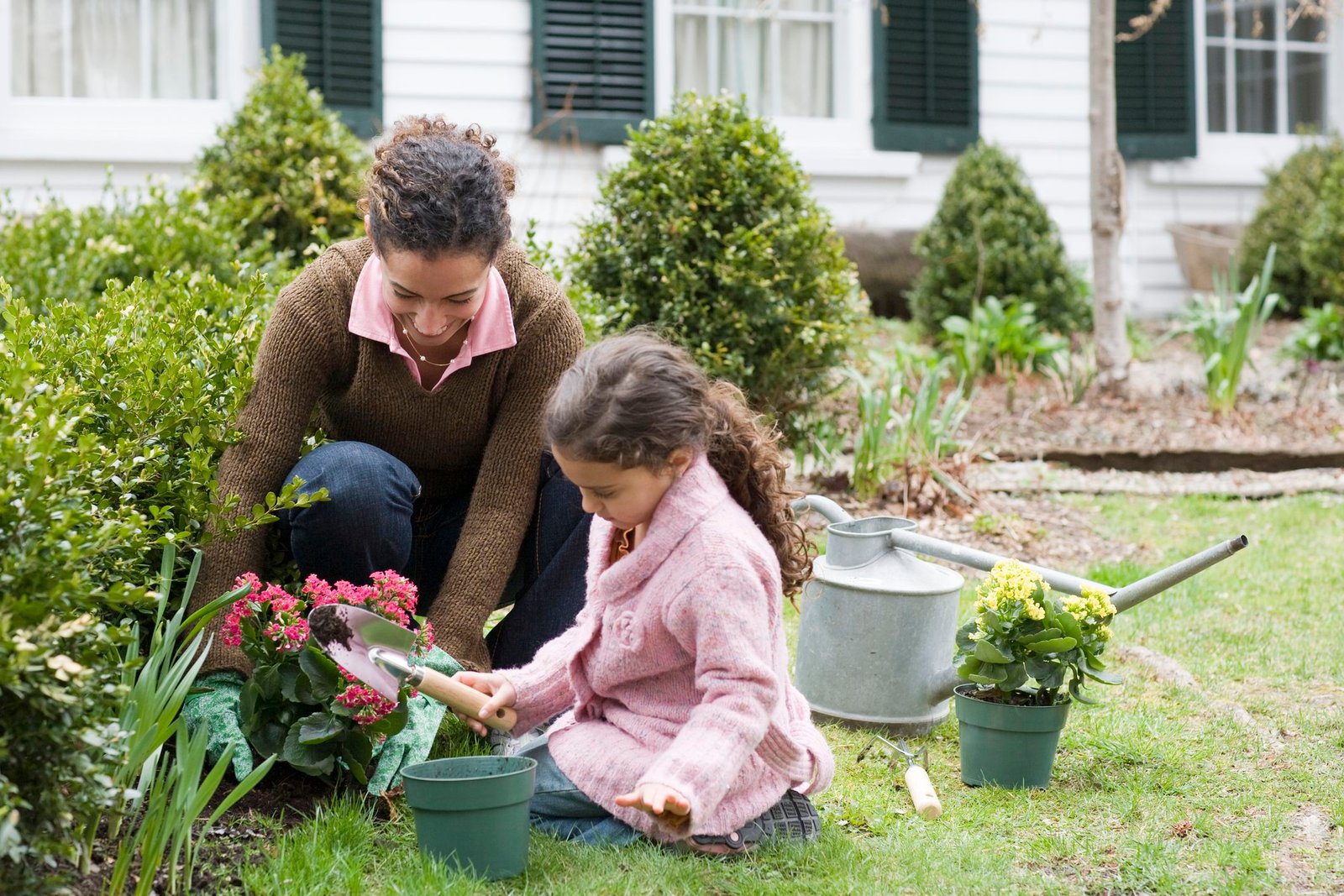how to start a garden from scratch