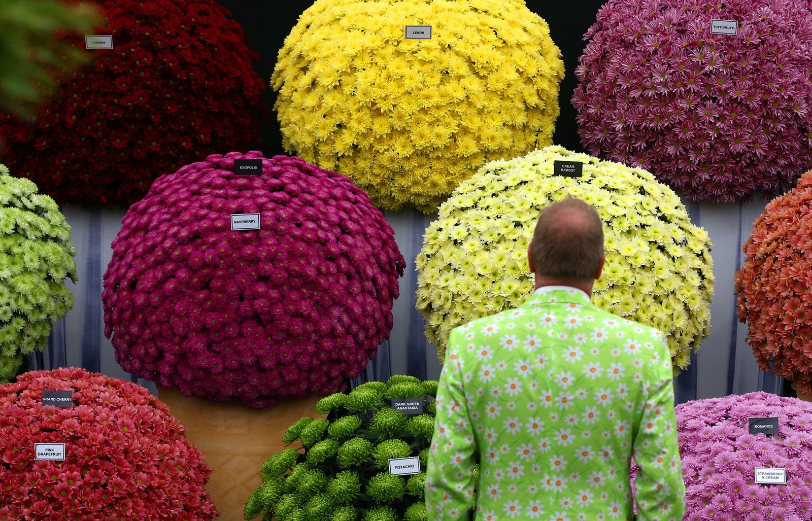 flower and garden shows by state