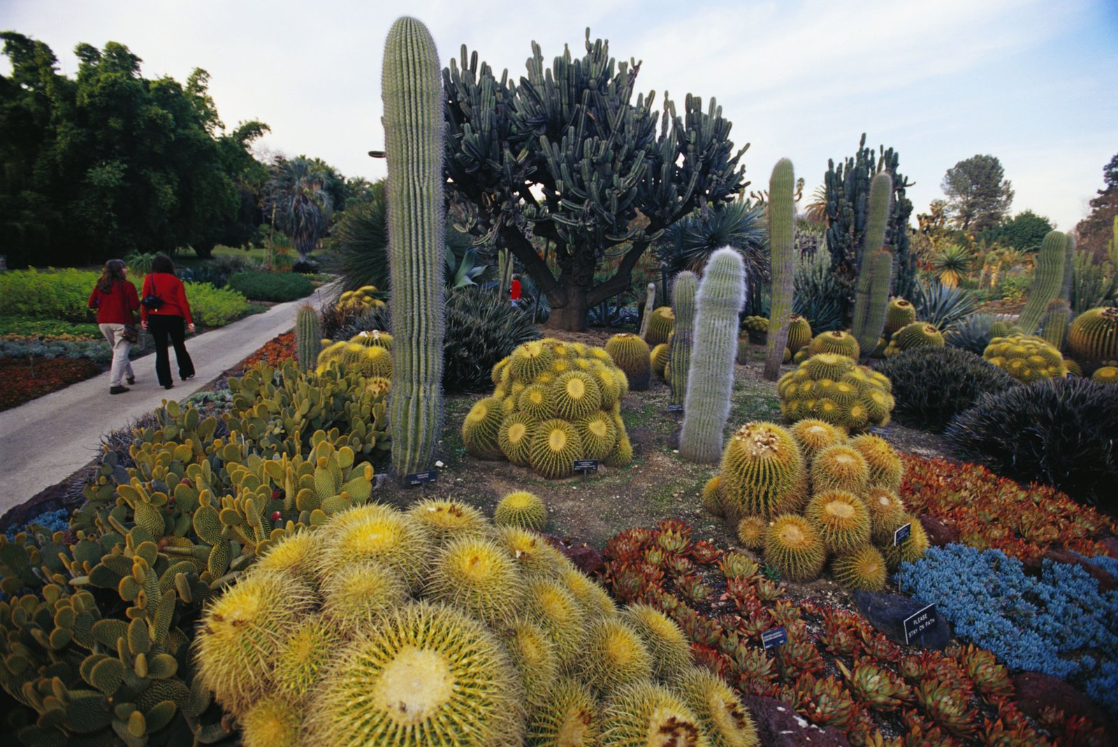 most beautiful public gardens in los angeles