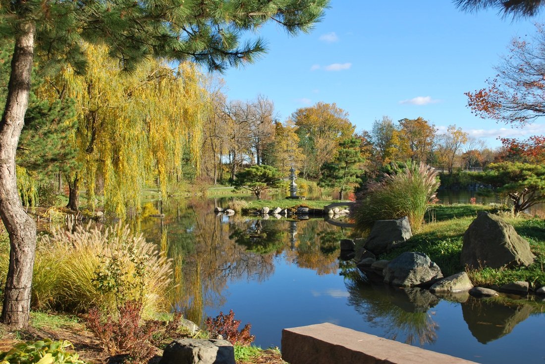 about the garden - buffalo cherry blossom festival april 29-may 4, 2020