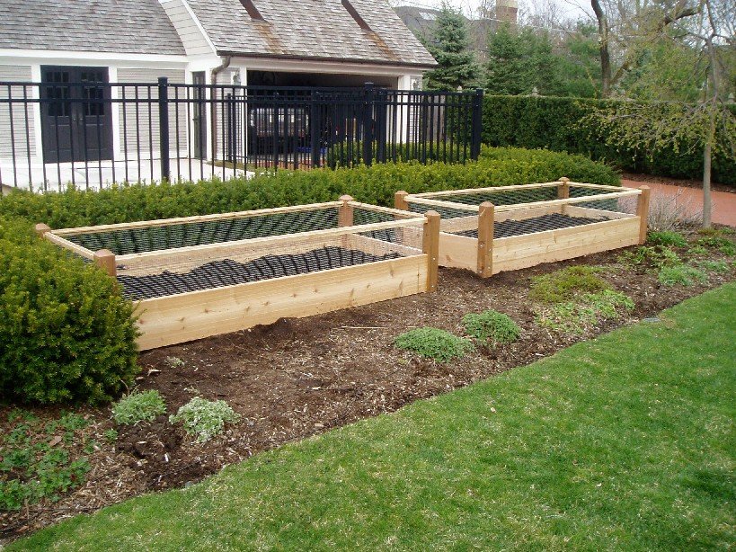 buy raised bed vegetable garden plans design kit materials pictures