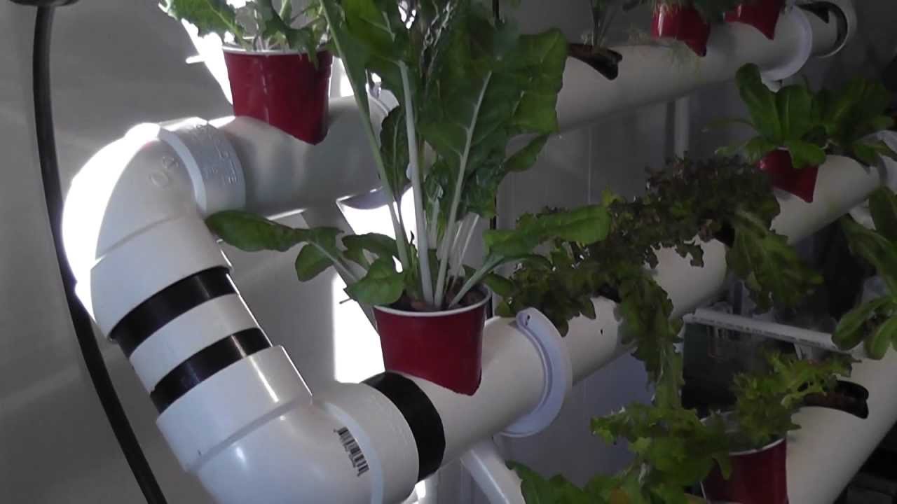Hydroponic Garden - YouTube