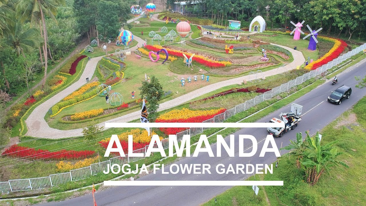 wisata taman bunga turi sleman - alamanda jogja flower garden