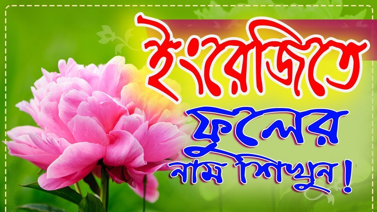 flowers name english to bangla word by it future.
