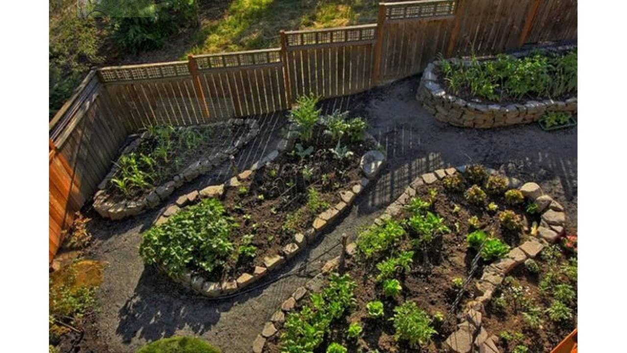 small backyard vegetable garden