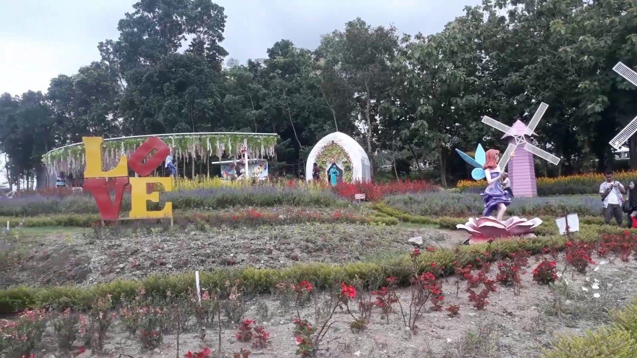 alamanda jogja flower garden (azkastudios)