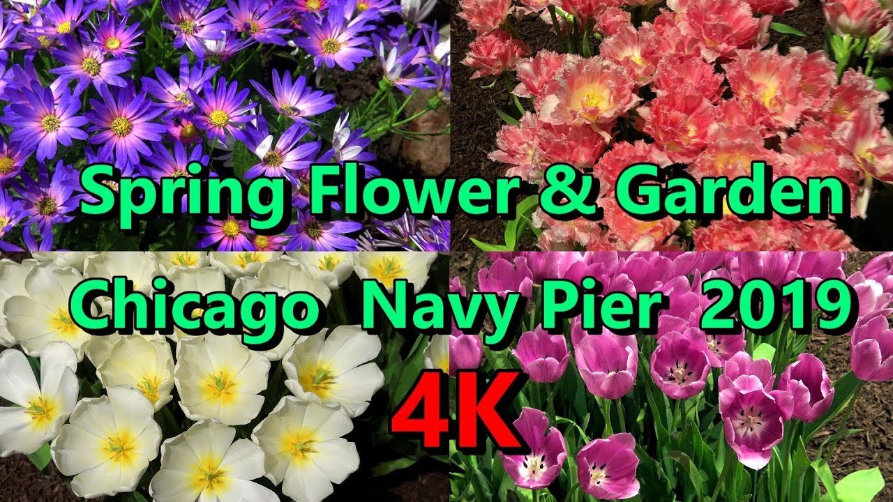 ? chicago flower & garden spring show 4k ? tablescapes ? navy pier march  2019