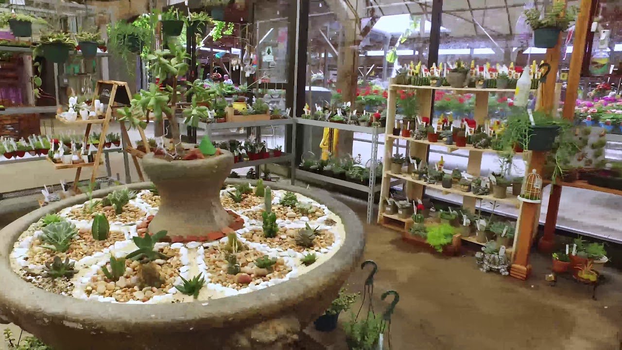 burger farm & garden center | cincinnati ohio
