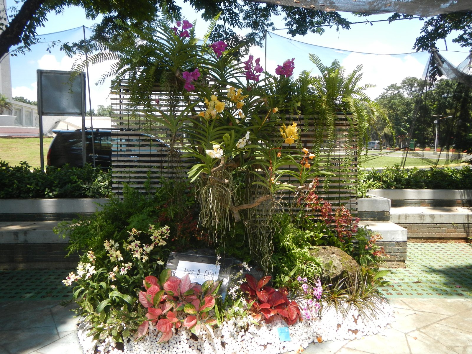 file:05525jfmidyear philippine orchid show circle quezon cityfvf 01