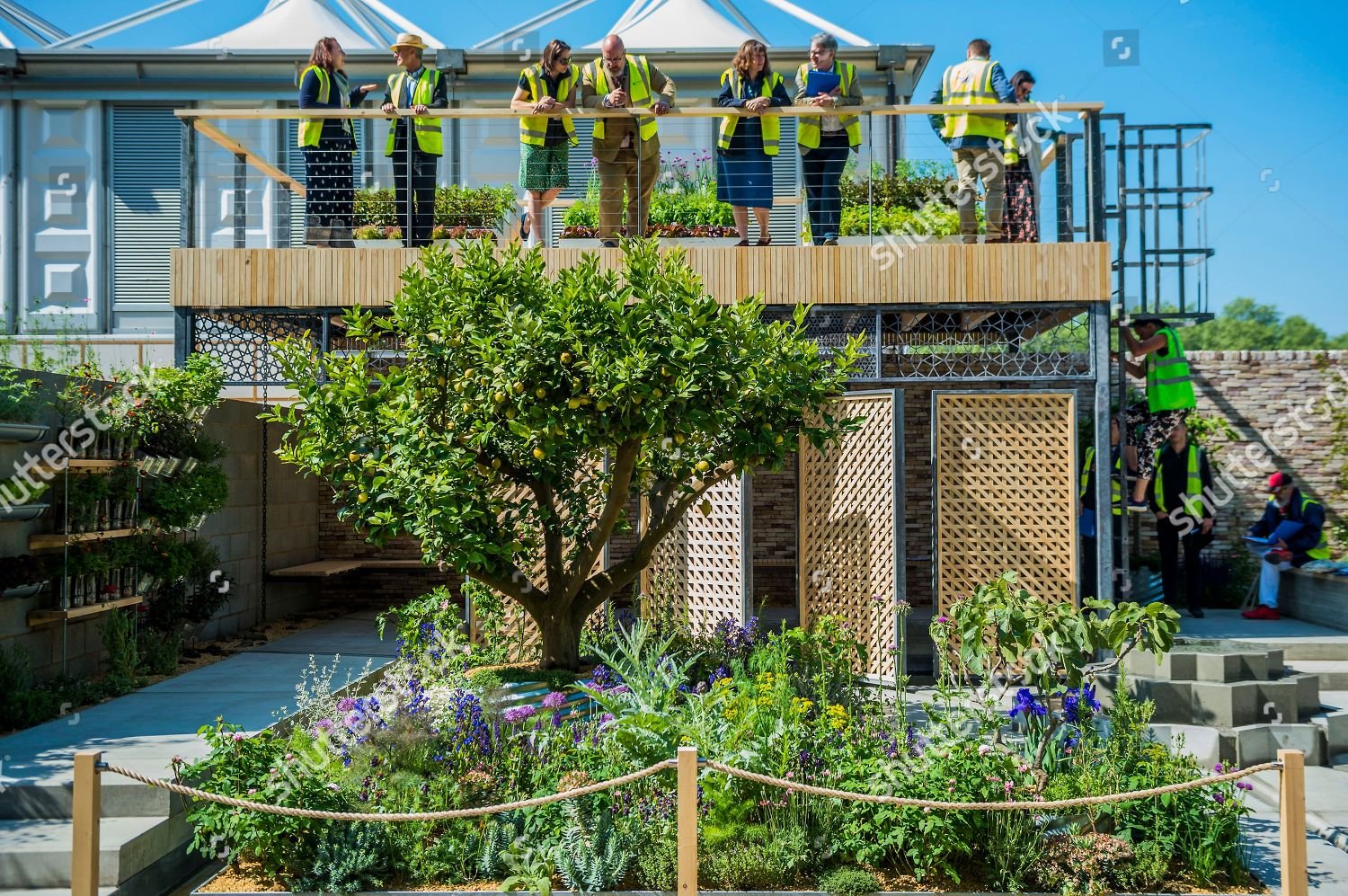 lemon tree trust garden sponsor lemon tree editorial stock photo
