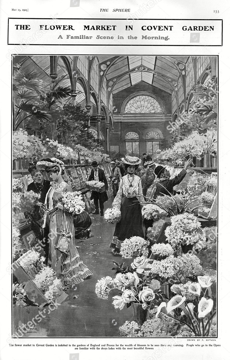interior flower market covent garden 1905 original editorial stock