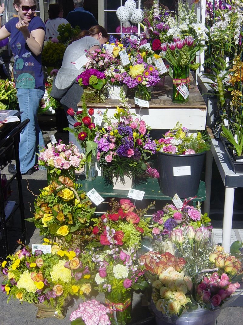 come see holly at the leesburg flower and garden show - holly