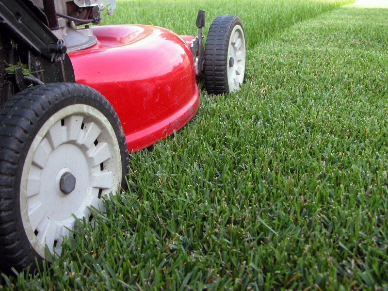 services - cutting edge vancouver landscape services