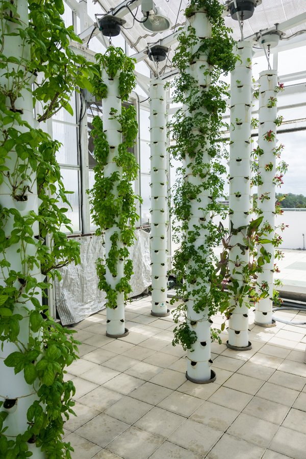 The Farm of the Future: Green Sky Growers • TheCoolist ...