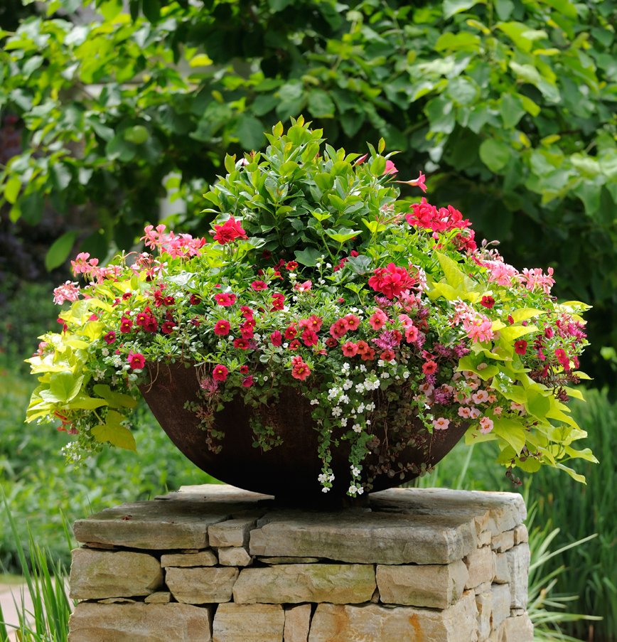 thrill, fill, and spill: three easy steps to container gardening