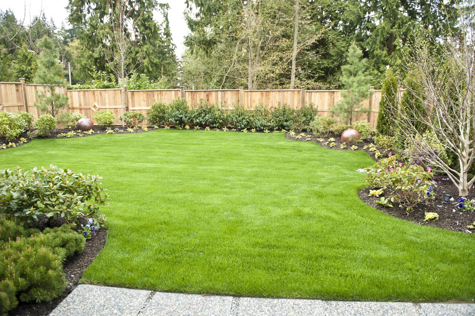 backyard landscaping tips | metamorphosis landscape design