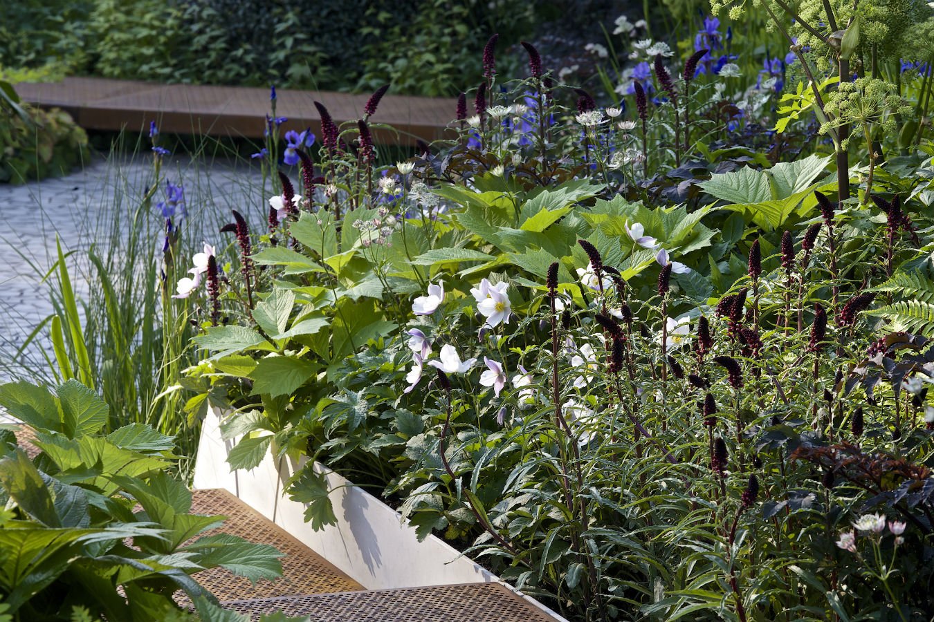 rhs chelsea flower show | nuvo