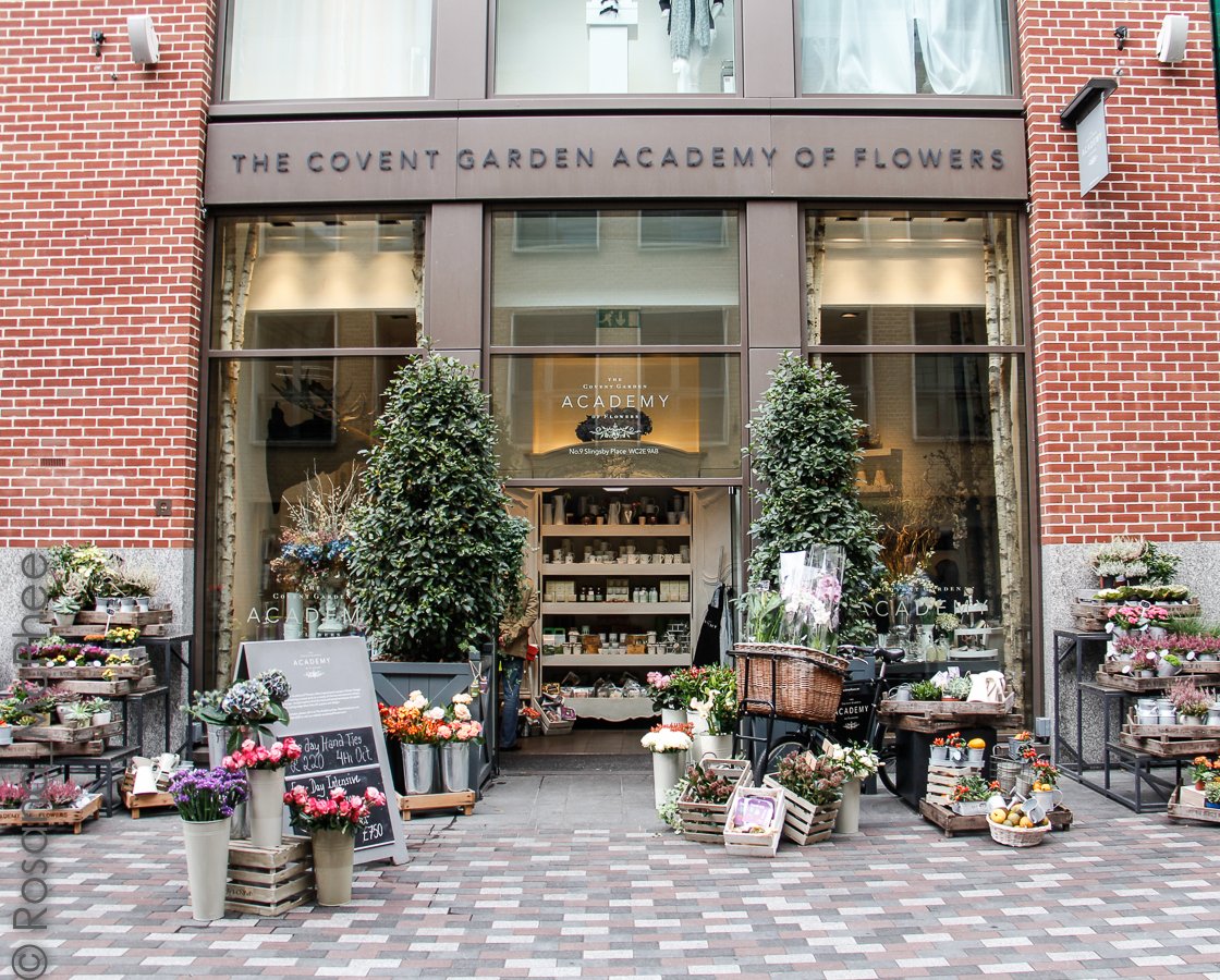 the covent garden academy of flowers - hot and chilli