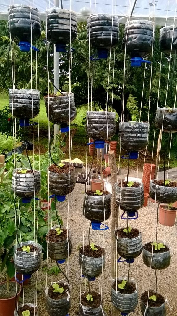 Hydroponics Costa Rica
