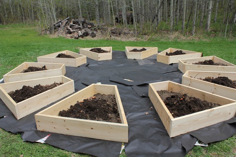 raised garden beds: how to build and install them