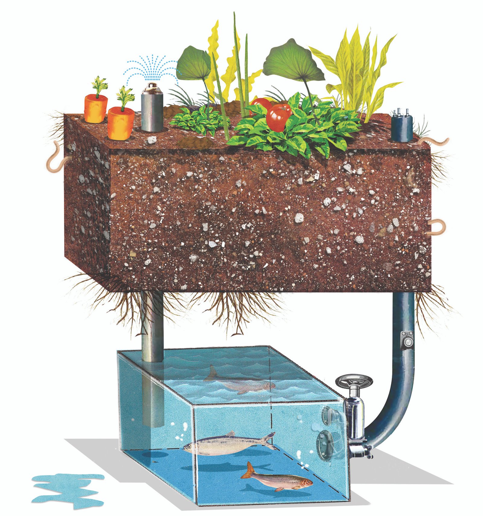 Build an Aquaponic Garden with Arduino — Gardening | Make: