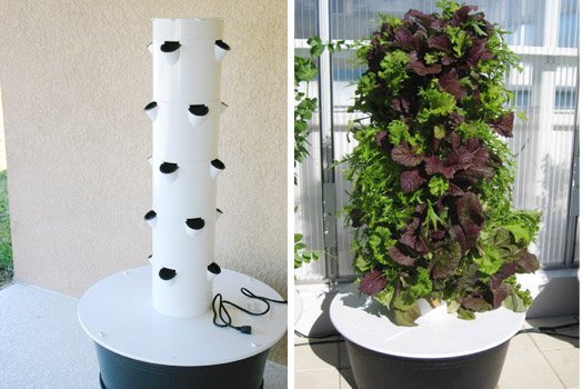 Grow Inside | Grow Green Food