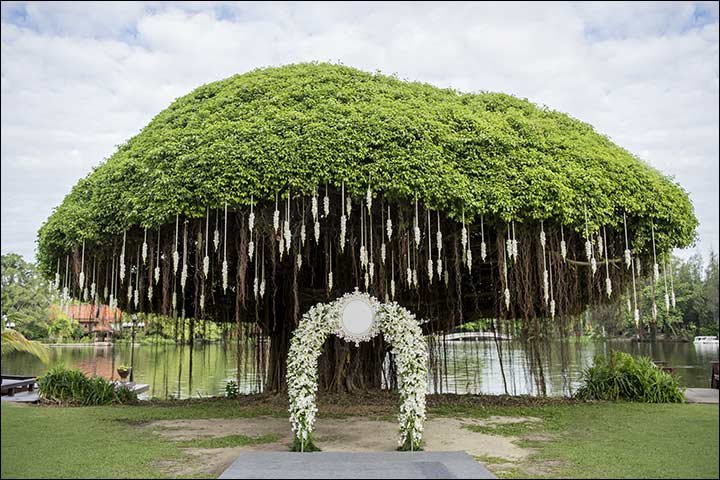 Indian Wedding Stage Decoration Ideas: 9 Ideas That'll Inspire