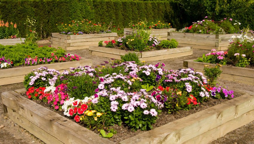 41 backyard raised bed garden ideas