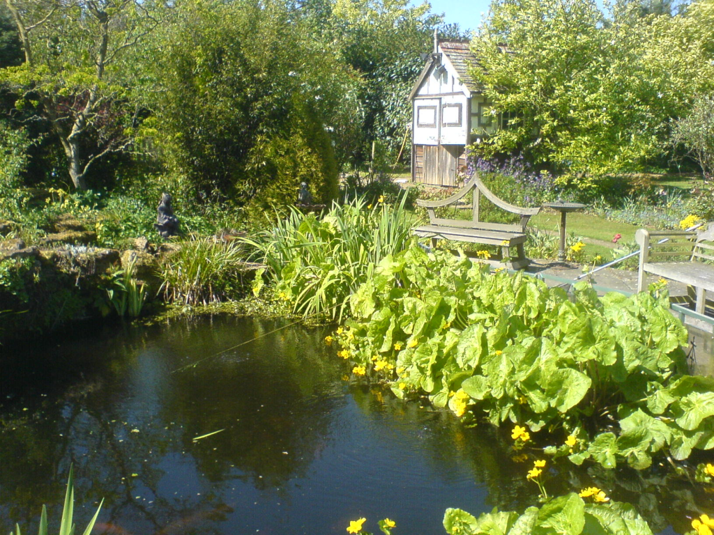 oriental garden plants - garden design ideas