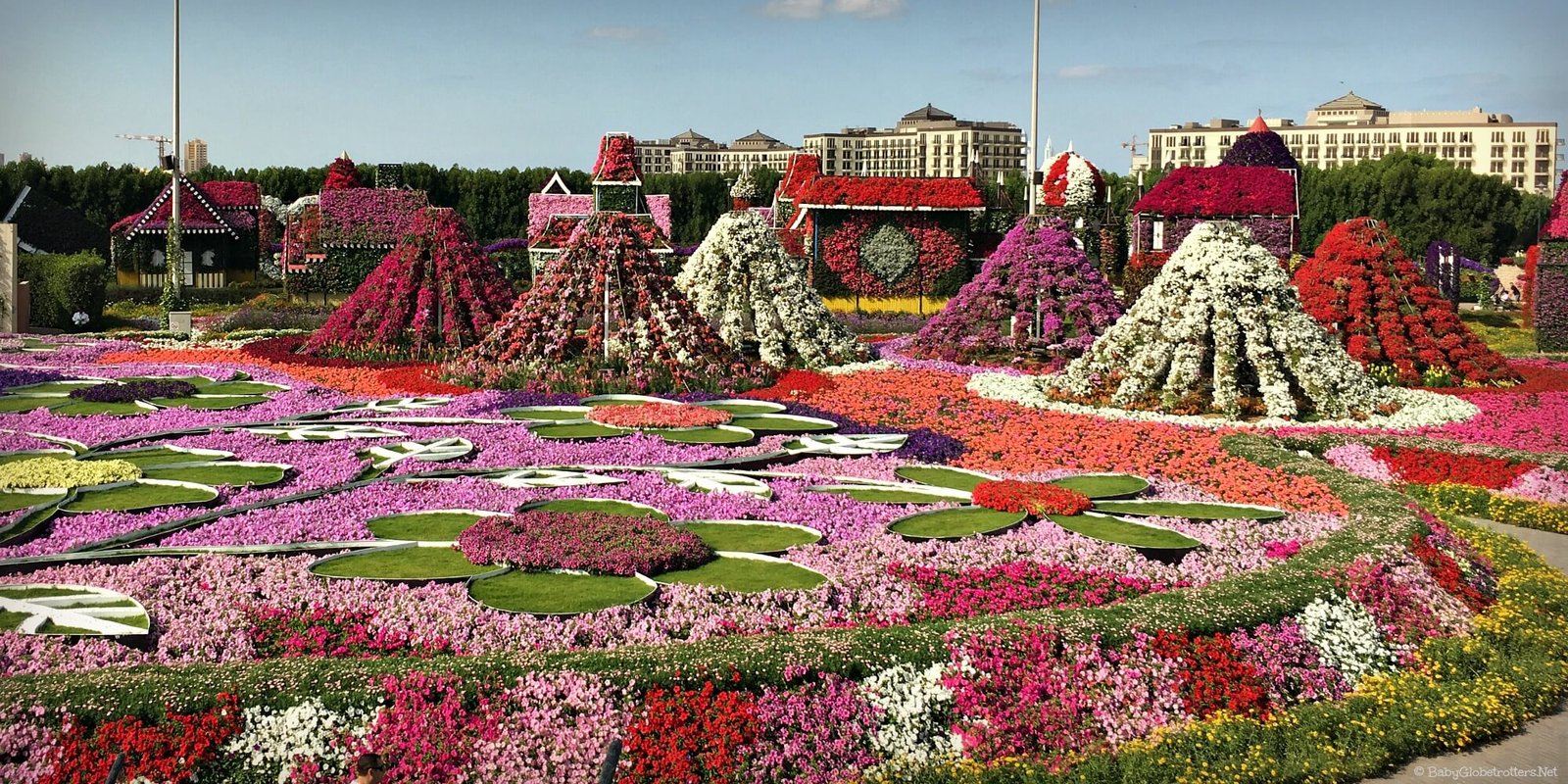 discover dubai miracle garden with kids • our globetrotters