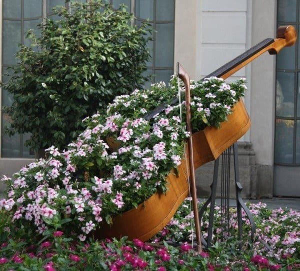 40 unique & fun container garden ideas