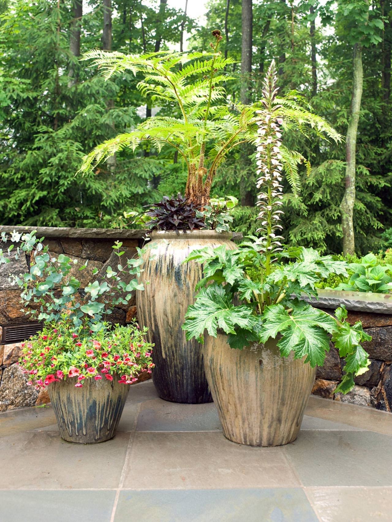 11 most essential container garden design tips | designing a