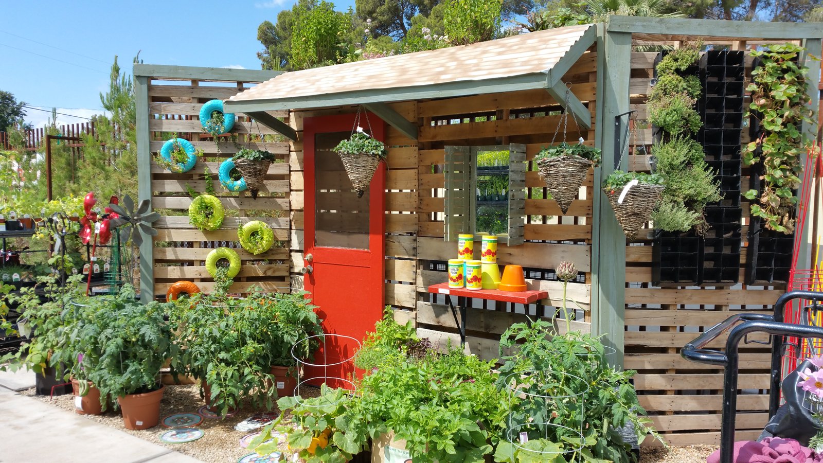 container gardening: growing vegetables, fruits & flowers in small