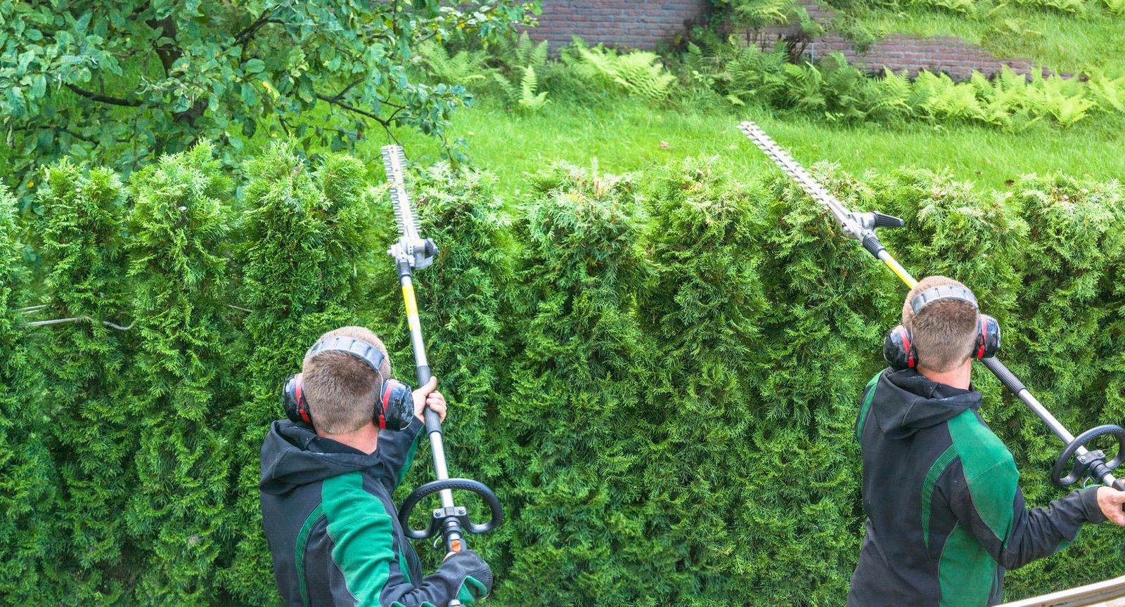 upselling your lawn care and landscaping services