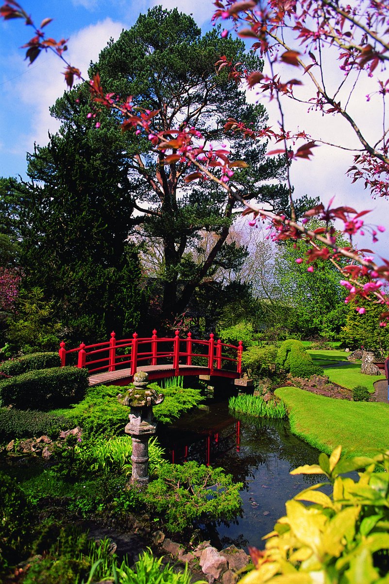 irish national stud - japanese gardens