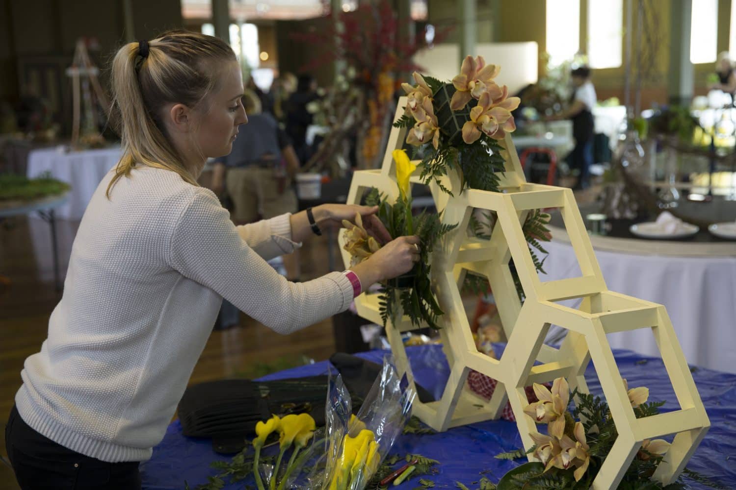 student competitions - melbourne international flower & garden show