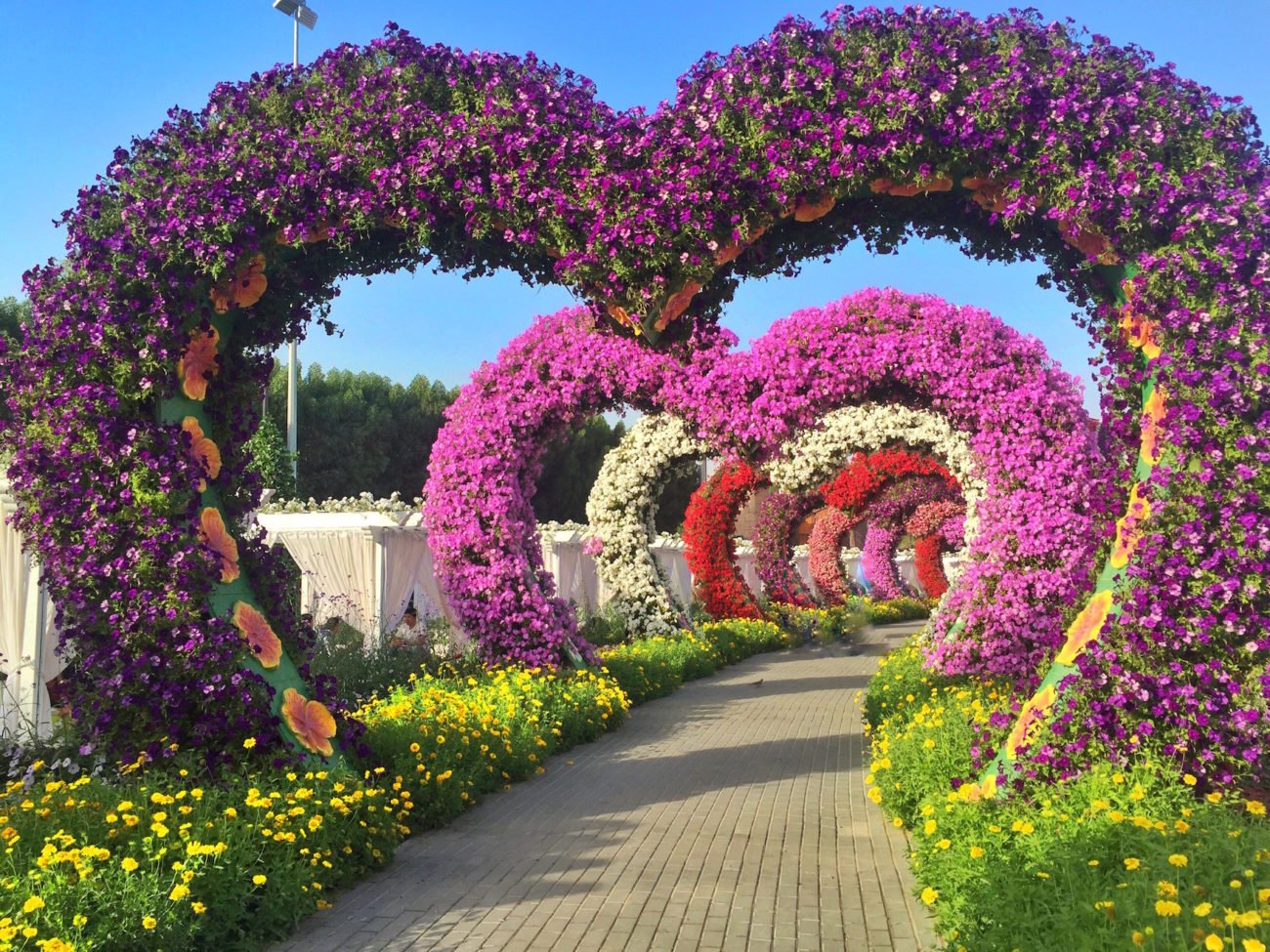 why dubai miracle gardens is an instagram-addict's paradise!