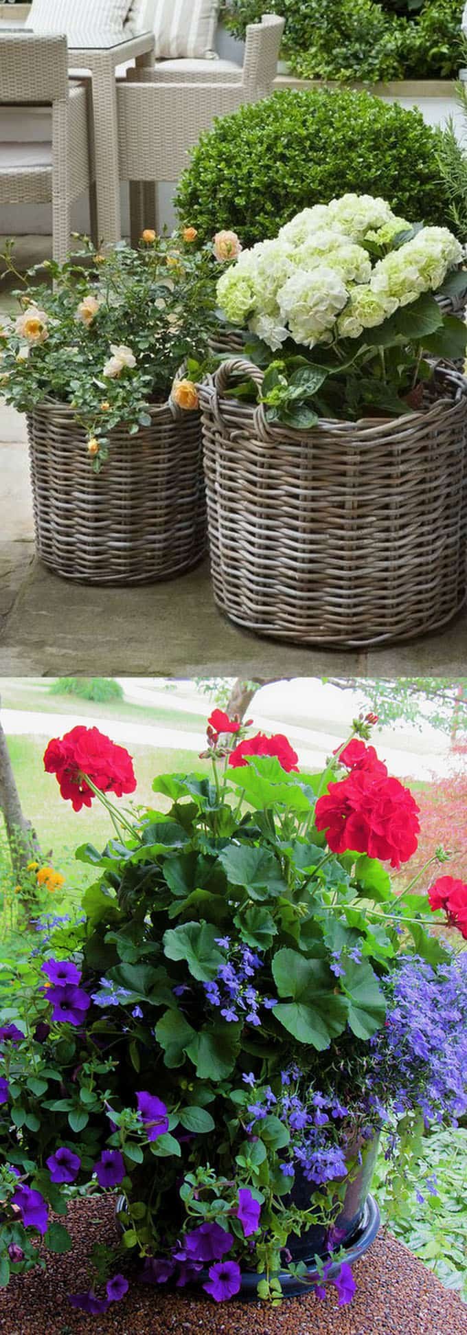 24 stunning container garden planting designs - page 3 of 3 - a piece