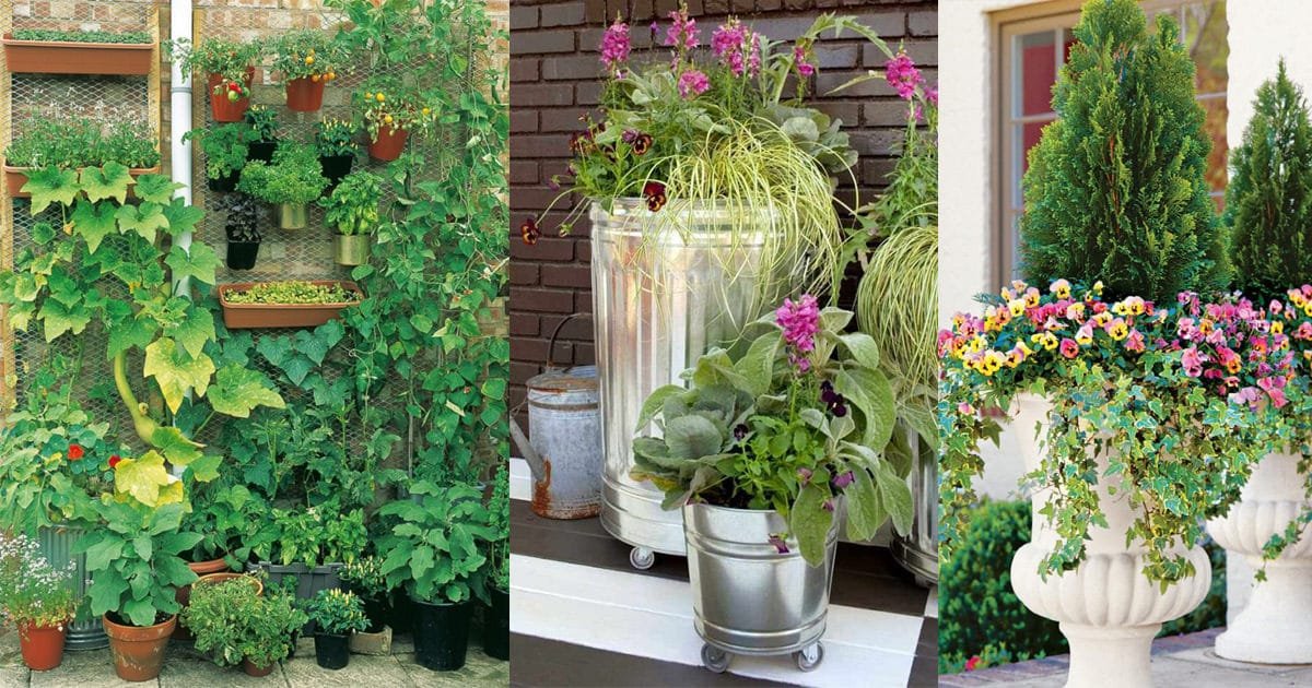10 creative and trendy container garden ideas you'll love to follow