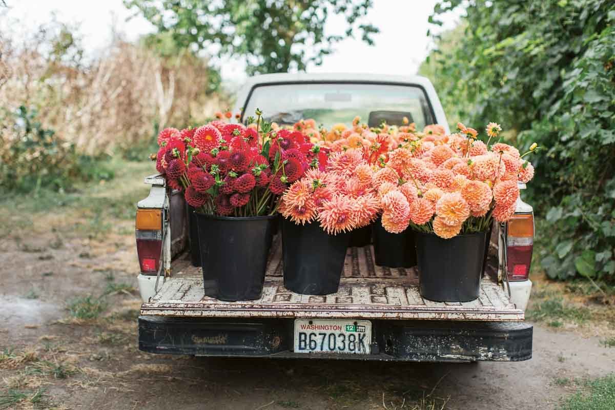 book review: cut flower garden by erin benzakein - cloverhome