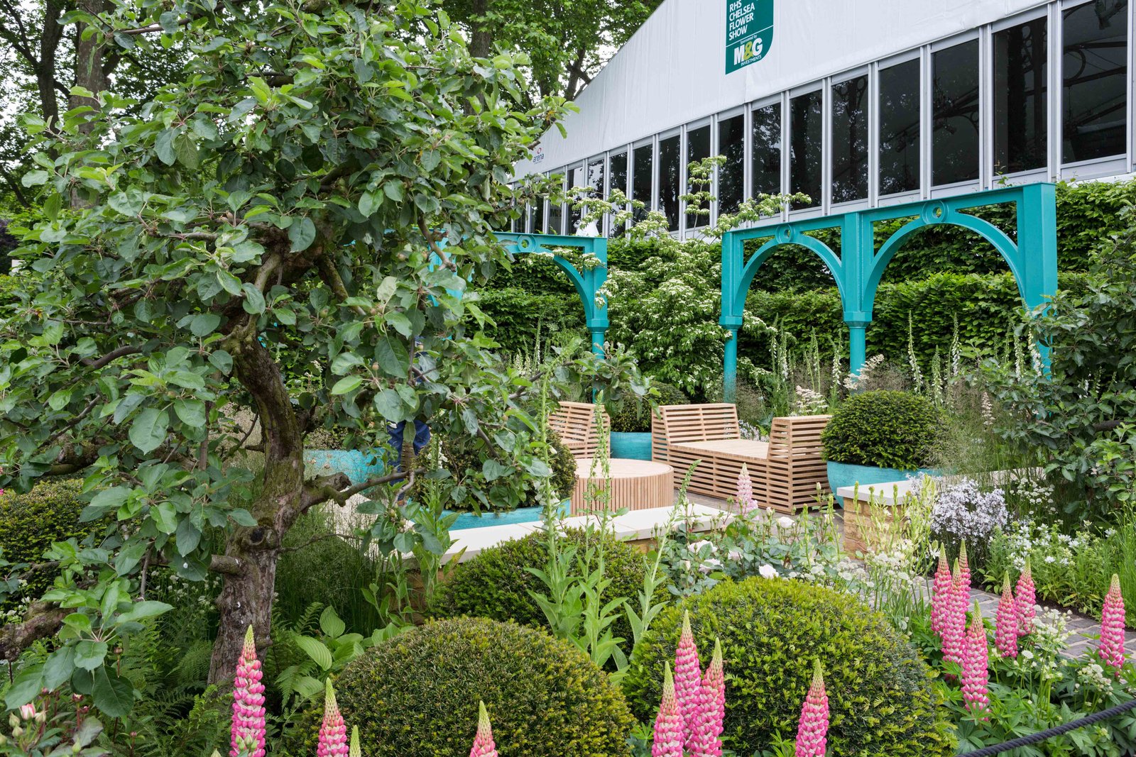 covent garden blooms at rhs chelsea flower show - the english garden