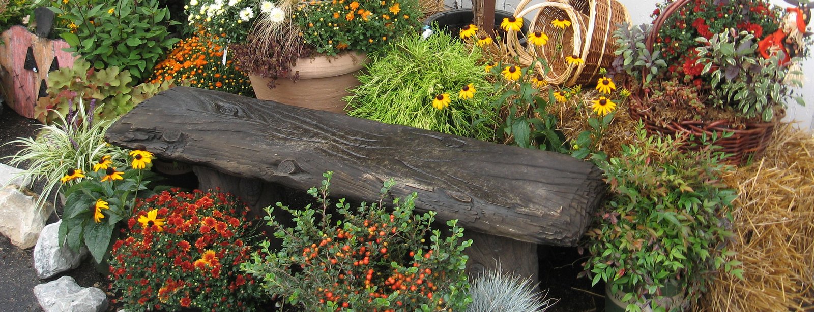 flower show – harvest home fair in cheviot, ohio