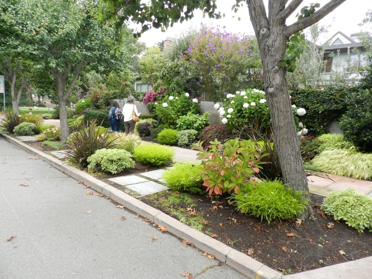 Landscaping For Sidewalks | Hgtv with Front Sidewalk Landscaping Ideas